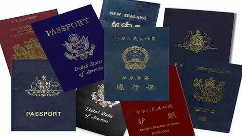 العوامل المؤثرة في قوة  جواز السفر 
